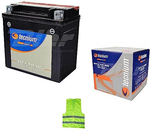 KOMPATIBEL MIT Aprilia 750 SMV Dorsoduro 2014 Anno Batterie YTX14-BS TECNIUM (BTX14-BS) BATTERIEN 12 Ampere 12 Volt BEREIT FÜR DEN Gebrauch, GELADEN 150X87X145MM