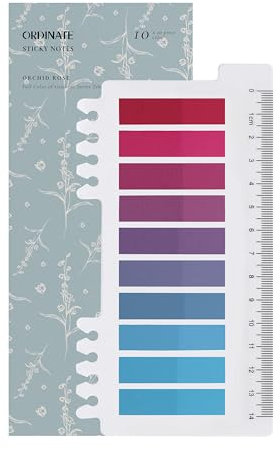 Ordinate 200 Stück Sticky Notes, Transparent Haftnotizen zum Markieren, Haftstreifen, Seitenmarkieren, Ästhetischer Haftnotizzettel, Full Color of Gradient (K-200 Stück Orchid Rose)