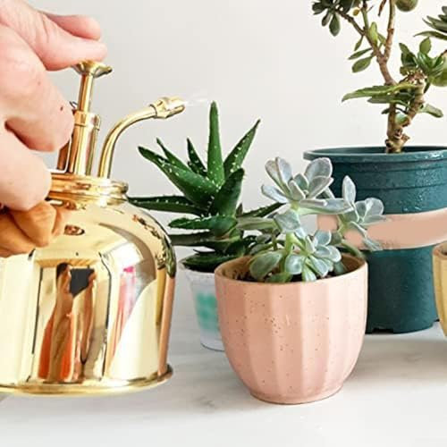 Mini olla pulverizadora, maceta de riego de acero inoxidable para jardinería, 11 x 11 x 19 cm, revestimiento resistente a las manchas, hervidor de pulverización retro para interiores