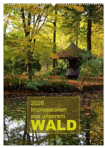 Impressionen aus unserem Wald (Wandkalender 2026 DIN A2 hoch), CALVENDO Monatskalender: Fotografische Impresssionen aus unseren heimischen Wäldern (CALVENDO Natur)