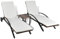 vidaXL - Juego de Chaise Longue (3 Unidades), Color marrón