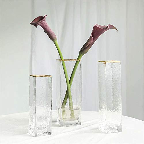 Frolahouse Grand vase carré décoratif en verre pour décoration de la maison