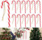 12 bastoncini di zucchero, bastoncini di zucchero, decorazioni per albero di Natale, decorazioni per albero di Natale, decorazioni per albero di Natale rosse