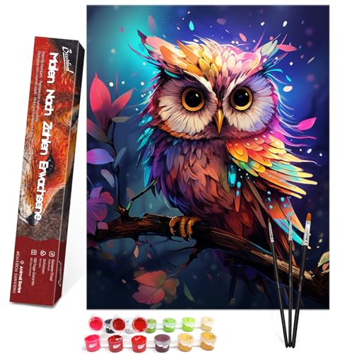 Bougimal Peinture par Numéros pour Adulte, avec Pinceaux et Acryliques Bricolage Peintures Kits pour Enfants/Débutants, Toile 40×50 cm, Hiboux Colorés