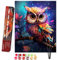 Bougimal Peinture par Numéros pour Adulte, avec Pinceaux et Acryliques Bricolage Peintures Kits pour Enfants/Débutants, Toile 40×50 cm, Hiboux Colorés