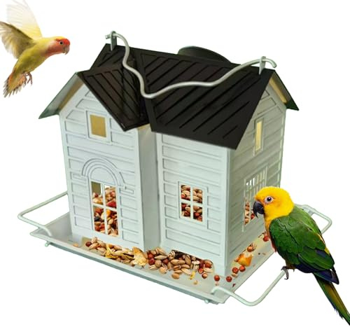 Birghouse Solar Feeder – 20,3 x 14,3 cm, Vogelhaus, Laternen-Stil, Vogelfuttermittel mit Vintage-Design | Dekoration für den Hof, Verwendung des Gartens