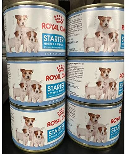 Royal Canin Starter Mousse Mother & Babydog | 12 x 195 g | Ultra Soft Mousse Feuchtnahrung | Für Hündinnen im letzten Drittel der Trächtigkeit und während der Säugezeit