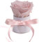ROSEMARIE SCHULZ Heidelberg Kleine Rosenbox weiß rund Infinity Rose - Blumenbox 1 konservierte Rose (Weiß-Rosa)