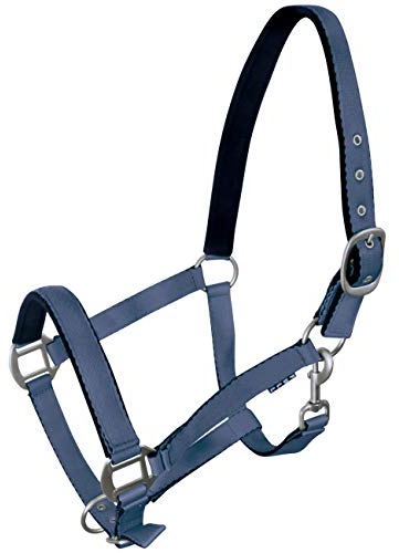 York Pferde Halfter Fluo weich unterlegt Stallhalfter Weidehalfter Reithalfter (Pony, Jeansblau)