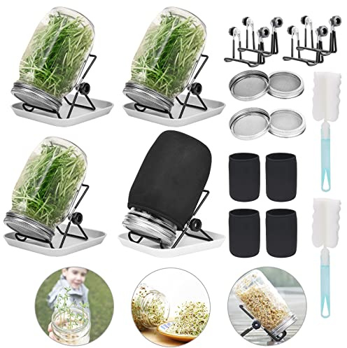Lulonpon 4 Sprouting Jar Kit, Wide Mouth Quart Mason Jars with Stainless Steel Screen Sprout Lids, 86mm,1000ml,Stand,Tray and Canning Brush,Seed Sprouter Set for Growing Broccoli, Alfalfa