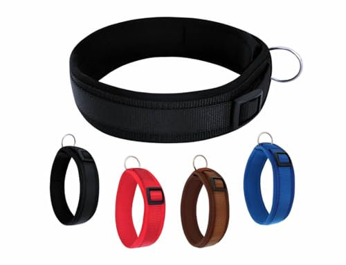BUDDYPACK-Halsband Extra-Breit & Weich mit Neopren-Polster für Kleine und Große Hunde (Schwarz, Größe M)