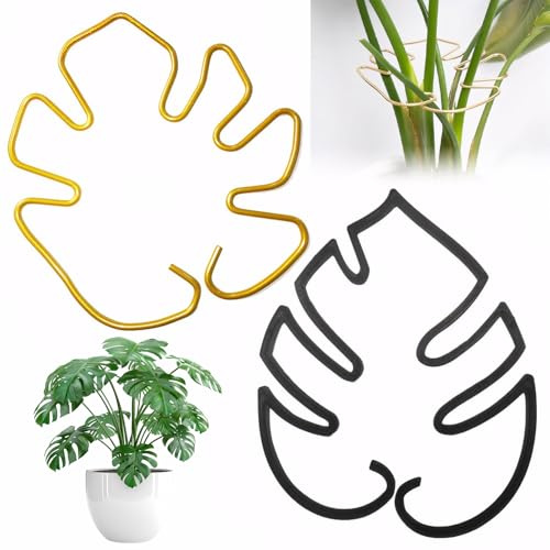 2 Stück Monstera Rankhilfe Pflanzenstütze Monstera Pflanzen Halter Pflanzen Stütze Staudenhalter Pflanzenhalter Zubehör für Den Pflanzenanbau Zimmer und Gartenpflanzen(Schwarz und Gold)