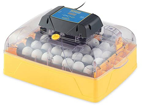 Brinsea Ovation 28 Advance Brutgerät – Automatischer Inkubator für Hühner-, Wachtel- & Enteneier – digitale Temperatur- & Feuchtigkeitsanzeige – vollautomatische Wendung – hygienisch mit Biomaster