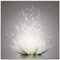 ARTland Wanddeko Glasbilder Wandbild Glas Bild einteilig 50x50 cm Quadratisch Blumen Lotusblume Blüte Natur Seerose Abstrakt Kunst S7FD