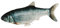 Kerbl Pet Katzenspielzeug Jumping Fish 28x11cm, elektrisch