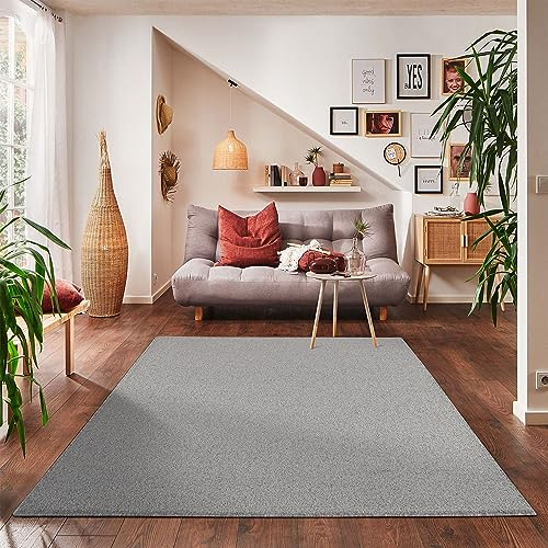 Carpettex Wohnzimmer Teppich - Kurzflor Modern Einfarbig 160 x 230 cm Hellgrau - Waschbar Extra Weich Flauschig für Küche, Schlafzimmer, Kinderzimmer, Esszimmer, Flur