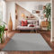 Carpettex Wohnzimmer Teppich - Kurzflor Modern Einfarbig 160 x 230 cm Hellgrau - Waschbar Extra Weich Flauschig für Küche, Schlafzimmer, Kinderzimmer, Esszimmer, Flur