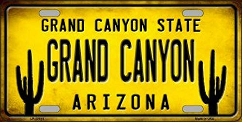 Inga Nummernschild Grand Canyon Kaktus Arizona Bundesstaat Hintergrund Neuheit Nummernschild 15,2 x 30,5 cm