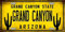 Inga Nummernschild Grand Canyon Kaktus Arizona Bundesstaat Hintergrund Neuheit Nummernschild 15,2 x 30,5 cm