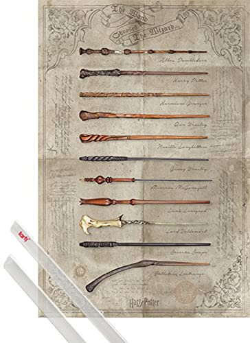 Harry Potter Affiche Murale (91x61 cm) The Wand Chooses The Wizard Et Kit De Fixation Transparent