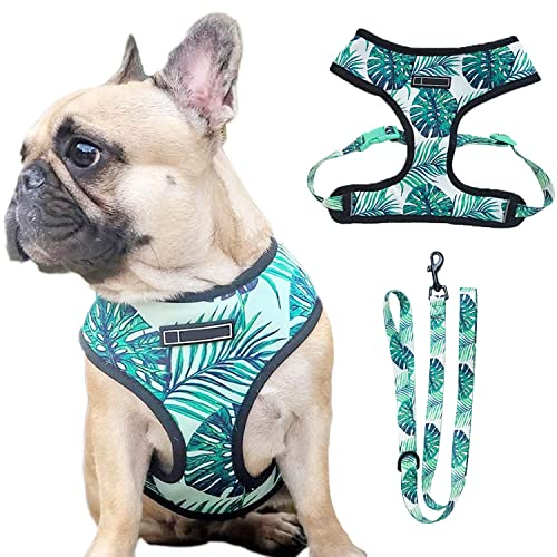HDKUW Hundegeschirr und Leine Set, Verstellbare Hundeweste Geschirr Set, Outdoor Walking Weste Geschirr für Französische Bulldogge und Welpe Kleine Mittlere Große Hund XL