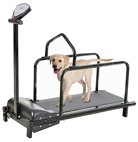 AMORPO Laufband für Hunde, Hundelaufband für große Hunde mit Eigenantrieb, Hundelaufband für mittelgroße Hunde, Haustier-Laufband für kleine und mittelgroße Hunde, Indoor-Laufband(Color:C100)