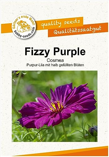 Blumensamen Fizzy Purple Cosmee Portion