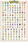 Close Up Pokémon Poster Charaktere (61cm x 91,5cm) + Ü-Poster