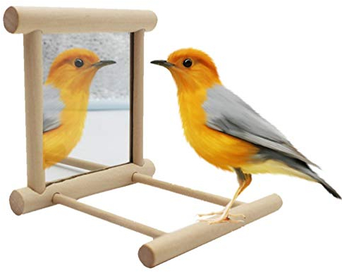 Anjing Vogelständer Sitzstange mit Spiegel für Papageien, Wellensittiche, Nymphensittiche, Graupapageien, Aras, Kakadus, Käfig, Holzspielzeug