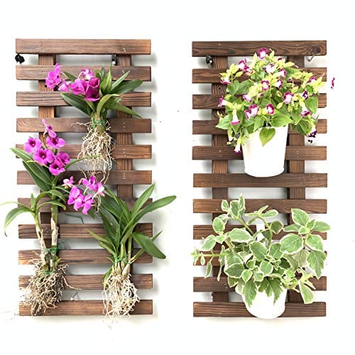 ShopLaLa Fioriera da parete – Fioriera sospesa per piante da interno, supporto per piante grasse, supporto verticale per giardino, grande decorazione da parete per soggiorno, decorazione per la stanza