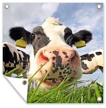 MuchoWow Outdoor-Poster Poster Wanddeko draußen Deko Garten Gartenposter 100x100 cm Kuh - Bauernhof - Gras - Tiere