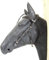 PS Pferdeartikel Kopfstück - Anatomic Bridle Arrimar für Gebisslose Zäumungen & Trensen Größe Pony - Farbe Braun