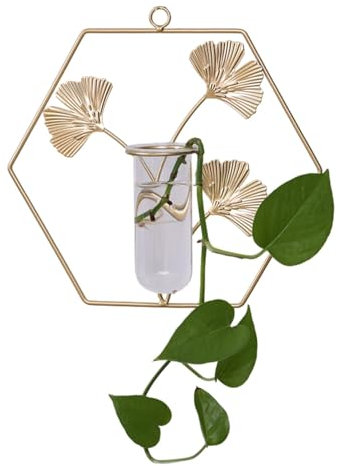 Fogukier Vase hydroponique Mural en Verre, Cadre de jardinière Mural pour d'intérieur | Cadres de Suspension pour, décoration Murale,Décoration Artistique de conteneur de décoratives