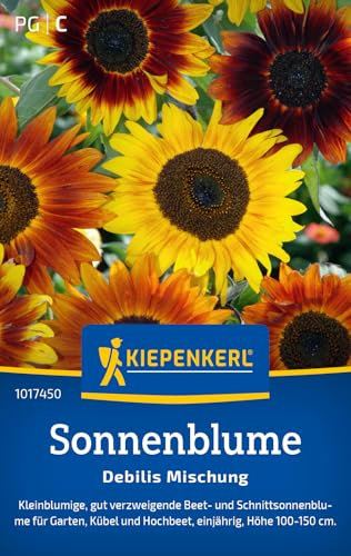 Kiepenkerl Sonnenblumensamen Debilis Mischung 1017450 - kleinblumige und pflegeleichte Blumensamen für Beete & Kübel - Blumensamen, Saatgut, Blumenwiese