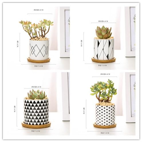 YWJewly Blumentöpfe Hängend 4PCS Geometrische Muster Blumentopf Mit Loch Kreative Lustige Pflanzer Für Indoor Outdoor Für Bleistift Schreibtisch Lagerung Kunststoffpflanze (White, One Size)