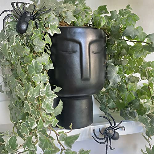 Willow & Muse Großer Blumentopf – Selbstbewässernder schwarzer Keramik-Pflanzgefäß. Gesichtspflanzgefäß mit Innentopf, 20.3 cm, Mattschwarz