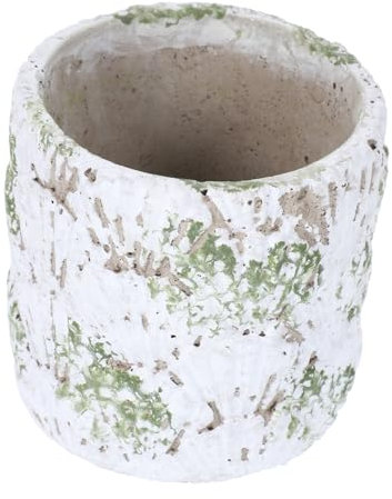 SUPVOX Grazioso Vaso Per Fiori in Cemento Con Texture in Pietra Per Piante Da Decorazione Per La Casa 9x9 Cm Stile Vintage
