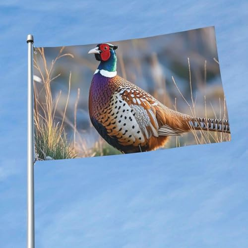 Flagge, 150 cm x 90 cm, für drinnen und draußen, mit Öse, Frühlings-, Sommer-, Fasanen-, Tier-Flaggen für den Außenbereich, Garten, Hof, Banner, dekoratives Schild, saisonale Willkommensflagge für