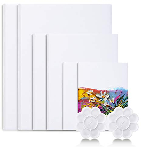 Viesap Toile Peinture, 6PCS Canvas Toile Peinture, Cadre Toile Peinture 30*40,20*30,15*20, 100% Pur Coton Toile Peinture Acrylique,Toile à Peindre Canvas Peinture Art Blank Canvas Toiles à Peindre Lot