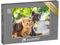 puzzleYOU: Puzzle 100 Teile „Zwei Bezaubernde Kätzchen Spielen“ – aus der Puzzle-Kollektion Katzen-Puzzles