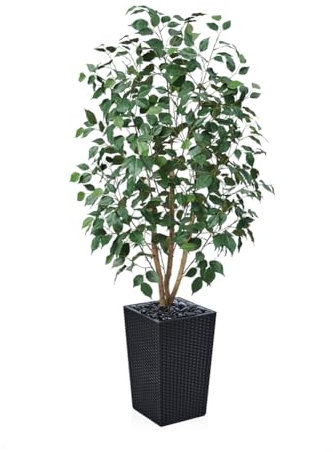 VeriNatural Ficus Artificial 150 cm Planta Artificial Grande - Árbol Decorativo Realista con Hojas de Seda, Tronco Natural y Maceta Negra- Ideal para Hogar Jardín Oficina, Interior y Exterior, VN129