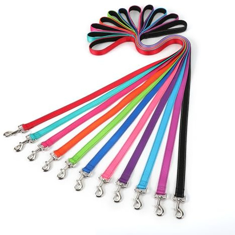 Hundeleine 1.8m x 2.5cm Mittelgroße Große Hunde Leicht Reflektierend Hundeleine aus Nylon mit Weichem Neopren Polsterung