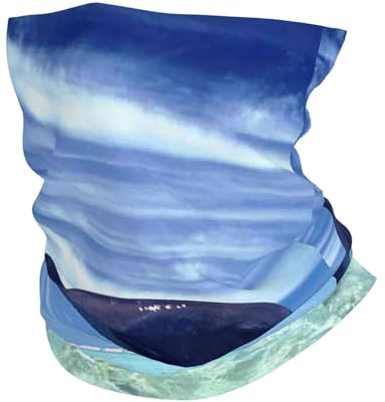 FUkker Guêtre de cou UV, bandeau cache-cou cache-visage Tube demi-masque écharpe cagoule,Baleines sauteuses
