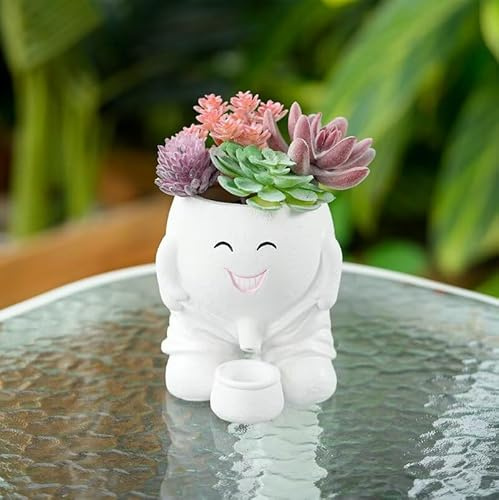 BOSENIYU Pee Pot Planter with Smiley Face, Naughty Boy Plant Face Pot with Drainage Hole for Indoor Outdoor Decorations. (White)