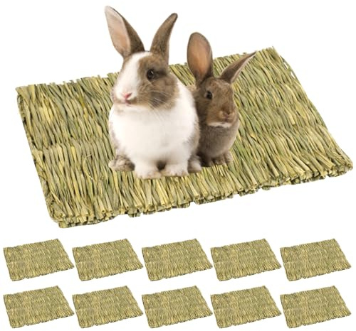 Lot De 10 Tapis D'herbe Pour Les Lapins, Tapis Tissé Pour Petits Animaux, Tapi D'herbe Pour Petits Animaux, 28 X 20cm Tapi D'herbes Naturel Tissé À La Main Pour Hamster, Cochon, Lapin Et Perroquet
