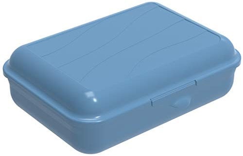 Rotho Fun Vesperdose 1,25l mit Klickverschluss, Kunststoff (PP) BPA-frei, blau, 1,25l (19,5 x 14,5 x 6,5 cm)