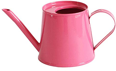 BAOFI 300ML Gießkanne Zimmerpflanzen Klein, Giesskanne Draussen Garten, Gartengießkanne Metall Für Sukkulenten Und Alle Kleinen Pflanzen