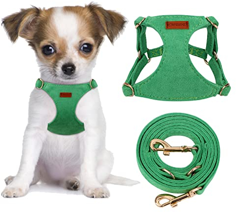 CHEDE No Pull Puppy Harness and Multifunction Dog Leash Set- 8 Colors Soft Adjustable No Choke Escape Proof Cute,Lightweight Pet Vest Harness for Small and Medium Dog (XXS, Green)