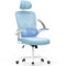naspaluro Office Chair, Ergonomic Desk Chair with Adaptive Lumbar Support/2D Headrest/Flip-up Armrests, Computer Swivel Chair with Rocking Function, Mesh Home Office Chair-Blue
