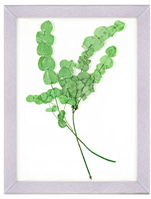 Rahmendesign24 Bilderrahmen Doppelglasrahmen Milano 15x21 (DIN A5) Silber (hochglanz) Fotorahmen, Wechselrahmen, Doppelglas